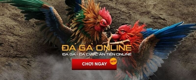 tim hieu trang gavietsv388