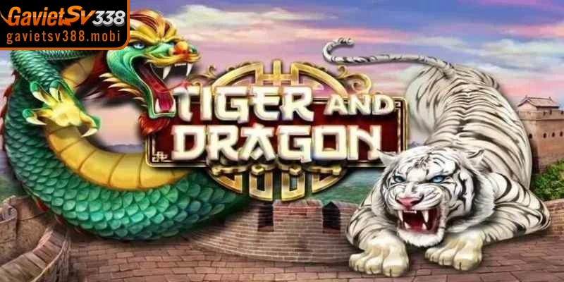 Rồng Hổ hay còn gọi là Dragon Tiger có nguồn gốc từ đất nước Campuchia