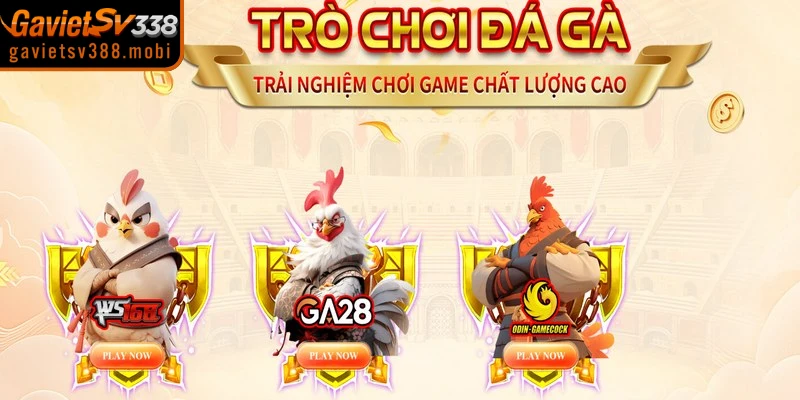 Đá gà Gavietsv388 mở ra một không gian thi đấu sôi động