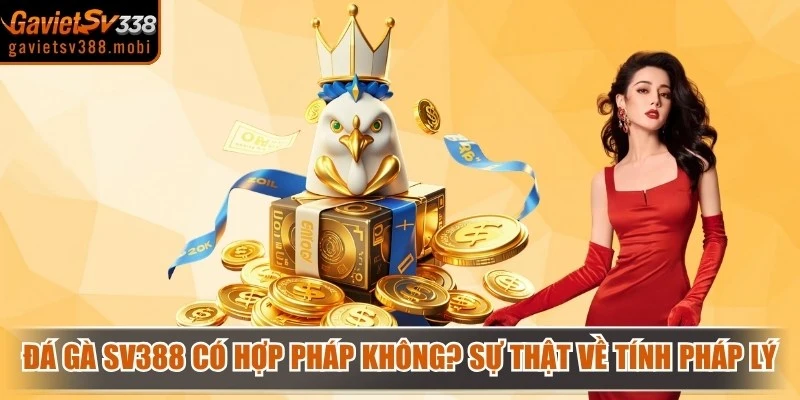 Đá Gà SV388 Có Hợp Pháp Không