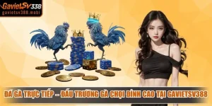 Đá Gà Trực Tiếp