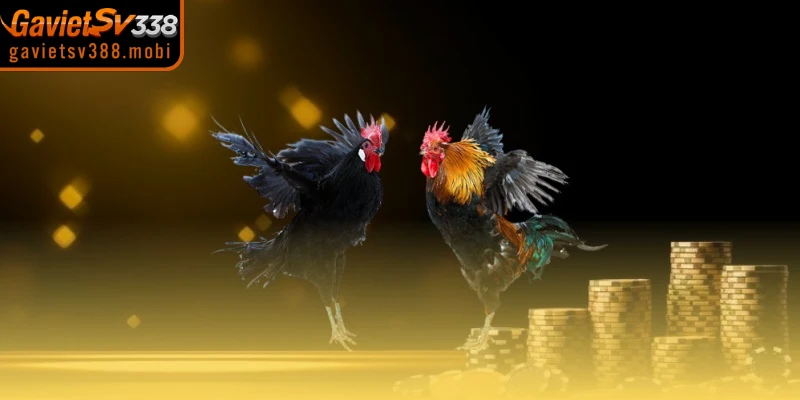 Lưu ý cần thiết khi bạn thực hiện đăng ký gavietsv388