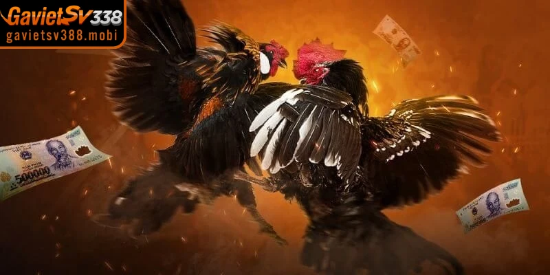 Những lợi ích nổi bật khi đăng nhập gavietsv388