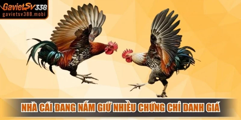 Nhà cái hiện đang nắm giữ nhiều chứng chỉ danh giá hàng đầu