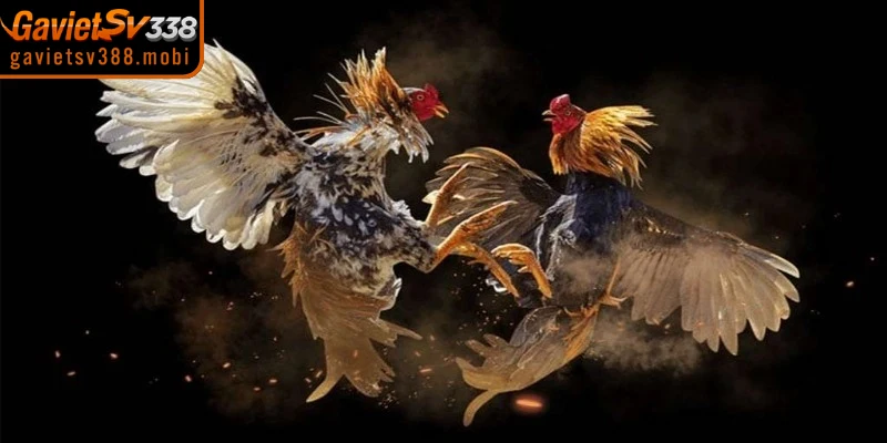 Danh sách link gavietsv388 không bị chặn, kết nối mượt mà