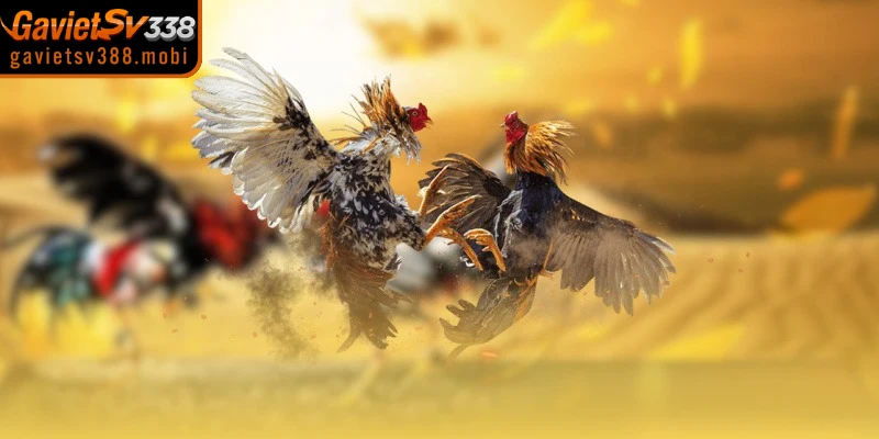 Một số giải pháp khắc phục link gavietsv388 bị chặn truy cập