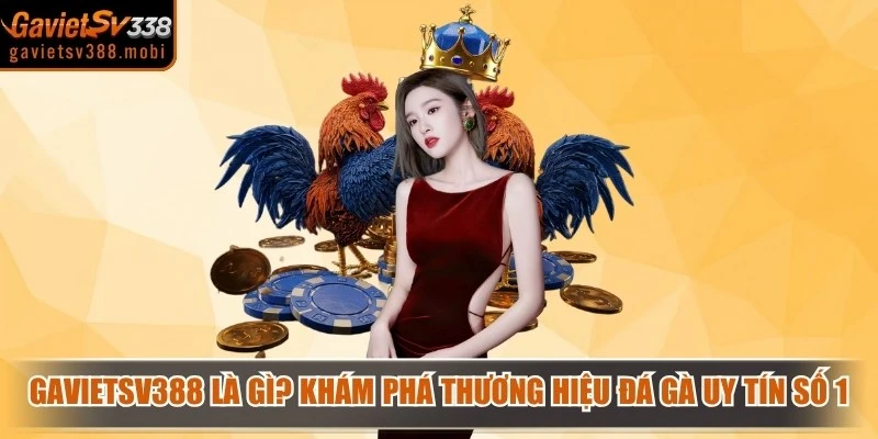 Gavietsv388 Là Gì