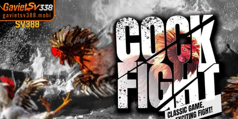 Hướng dẫn đăng ký Gavietsv388 cần điều kiện thế nào