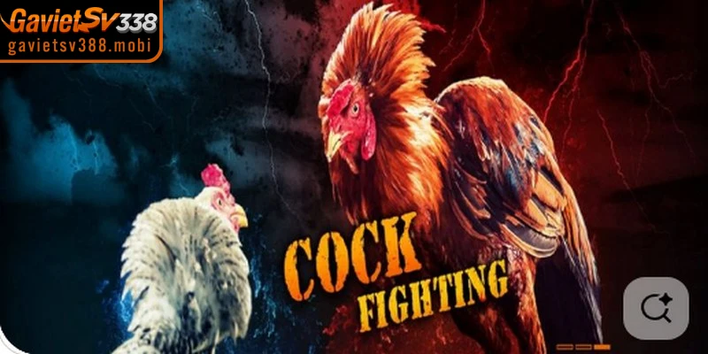 Lý do nên sử dụng link dự phòng gavietsv388 hôm nay