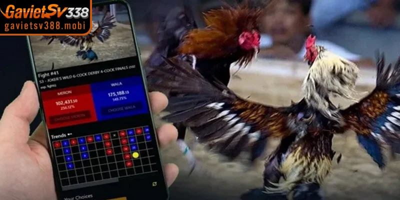 Ưu điểm khi tham gia cá cược qua link dự phòng gavietsv388 hôm nay