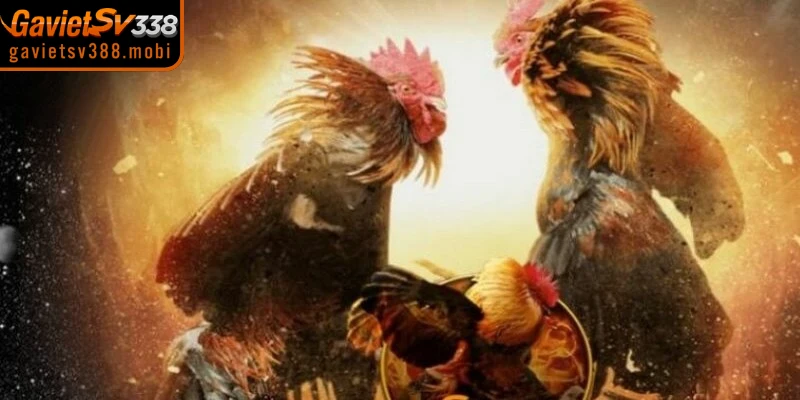 Những lưu ý cần thiết khi sử dụng link truy cập gavietsv388 