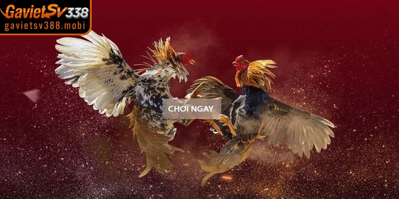 Lý do cần tìm truy cập link vào gavietsv388 chuẩn xác