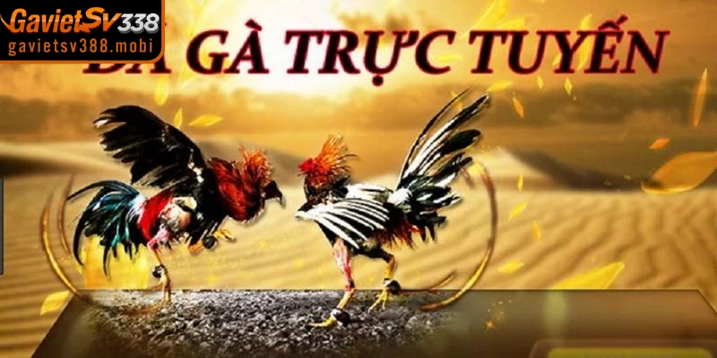 Theo dõi các trận đấu đỉnh cao qua link xem đá gà hôm nay ổn định nhất