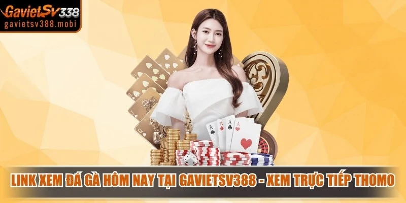 Link Xem Đá Gà Hôm Nay