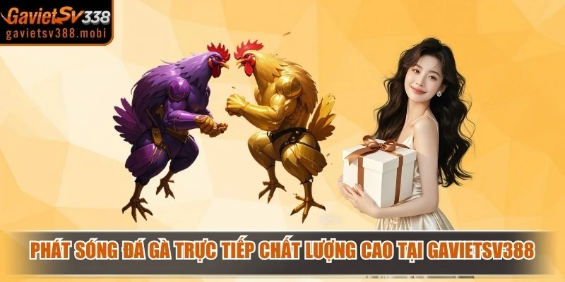 Phát Sóng Đá Gà