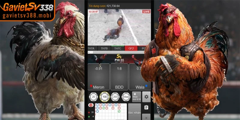 Giải đáp nguyên nhân tại sao không vào được gavietsv388