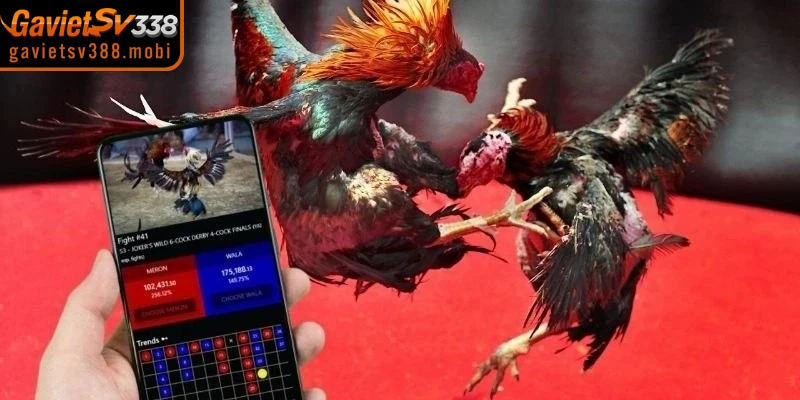 Xóa bộ nhớ Cache và Cookies khi không vào được gavietsv388