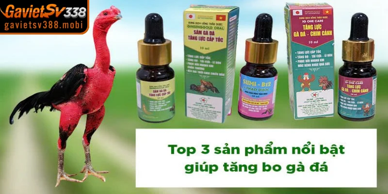 Những lưu ý cần thiết khi sử dụng thuốc cho chiến kê