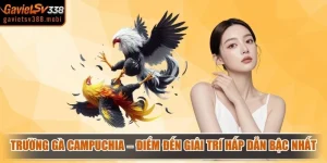 Trường Gà Campuchia