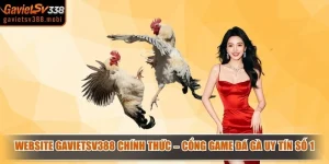 Website Gavietsv388 Chính Thức