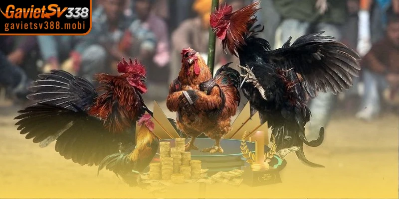 Các bước khởi tạo tài khoản ở website Gavietsv388 chính thức nhanh gọn