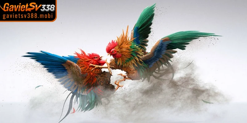 Trải nghiệm mượt mà tại website Gavietsv388 chính thức