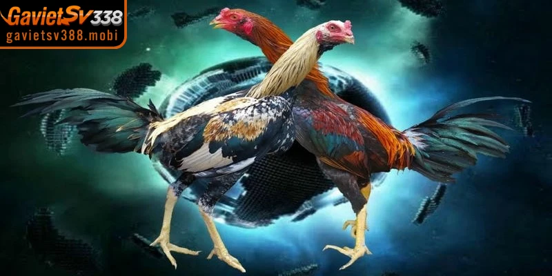 Luôn ưu tiên các kênh chính thống để vào website Gavietsv388 uy tín