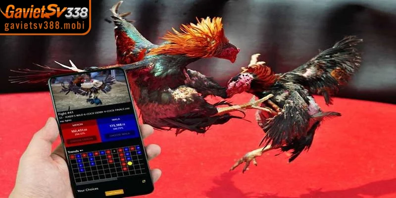 Lợi ích hấp dẫn của việc tham gia xem đá gà online